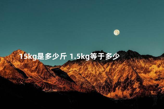 15kg是多少斤 1.5kg等于多少公斤